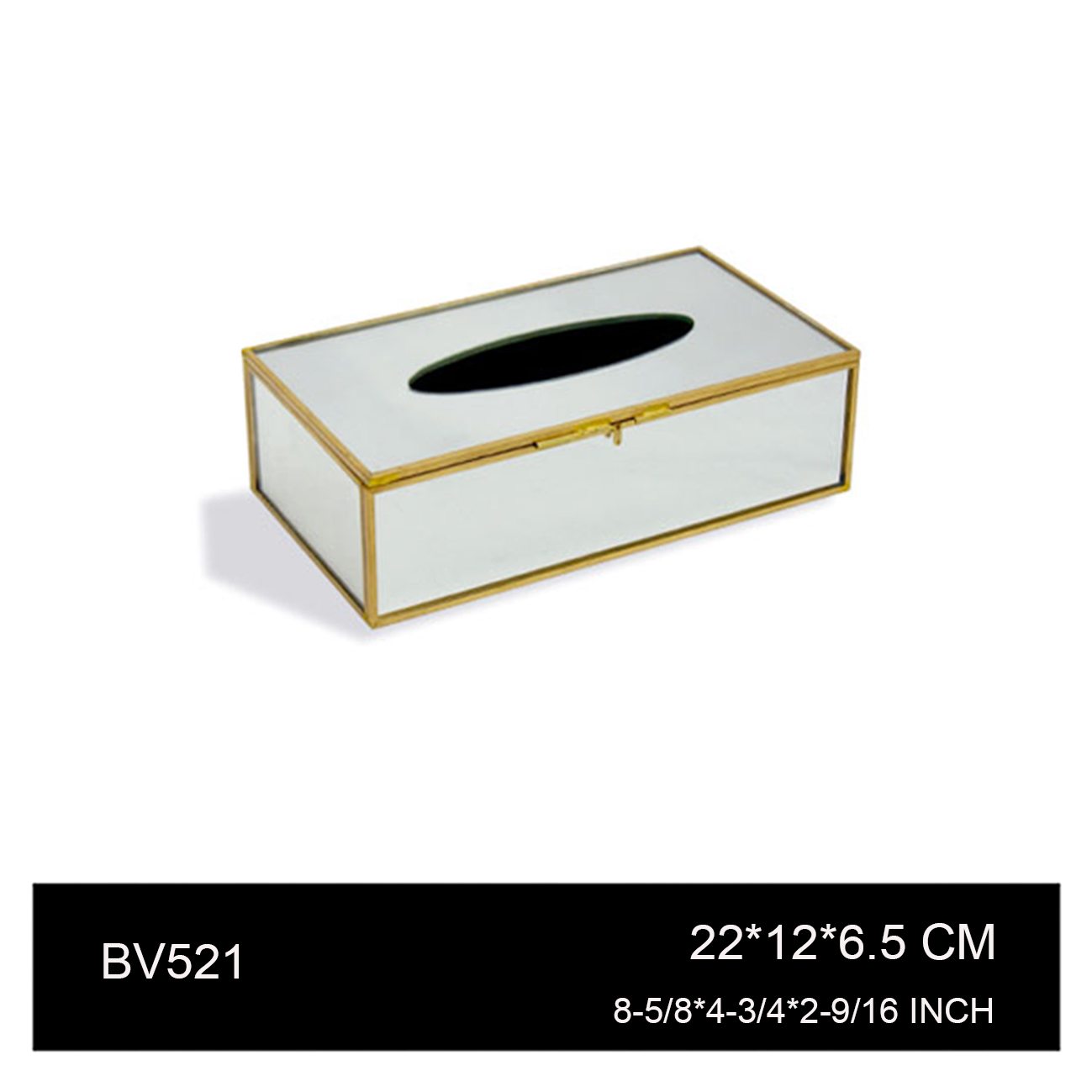 BV521